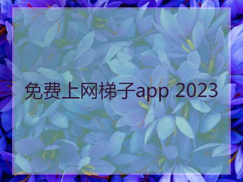 免费上网梯子app 2023