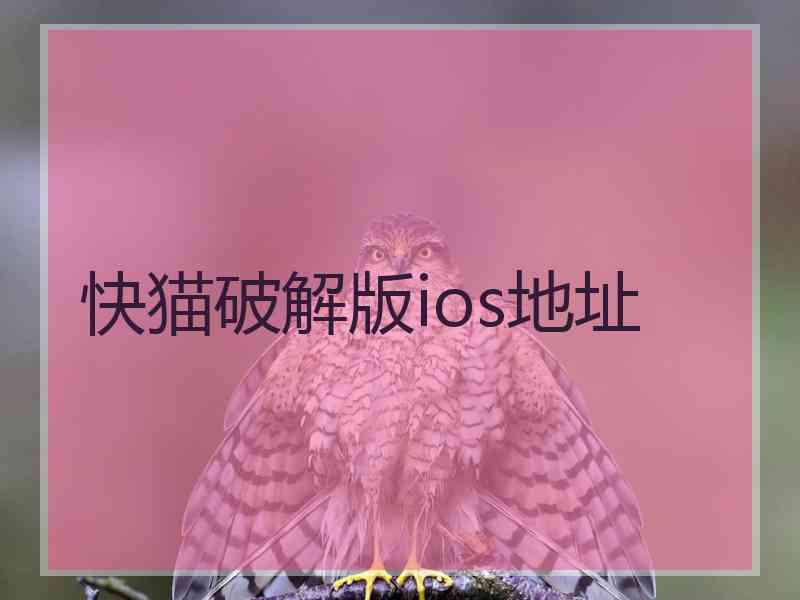 快猫破解版ios地址