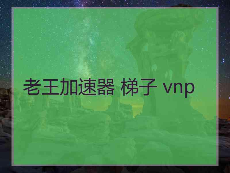 老王加速器 梯子 vnp