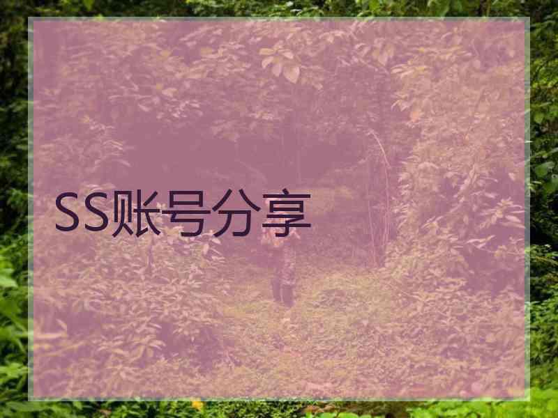 SS账号分享