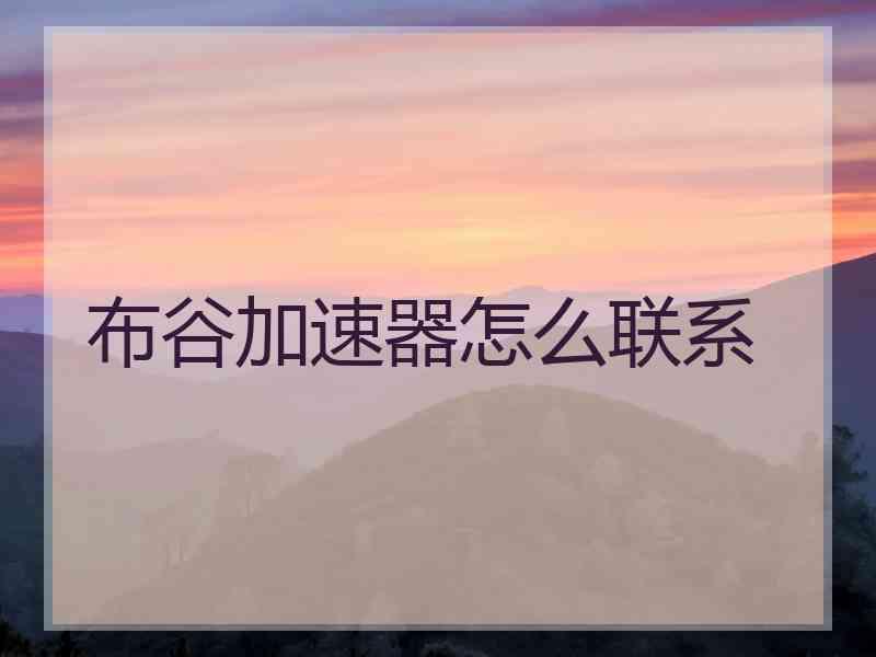 布谷加速器怎么联系