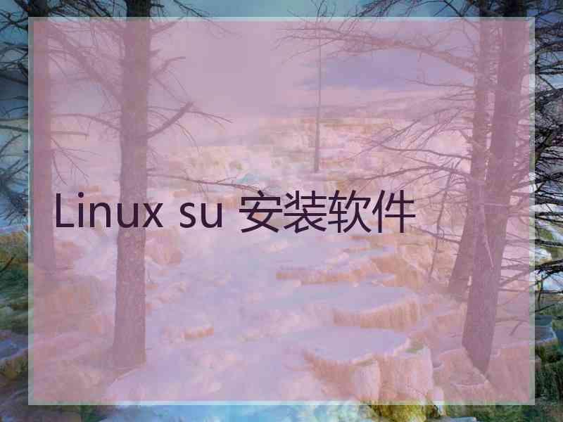 Linux su 安装软件