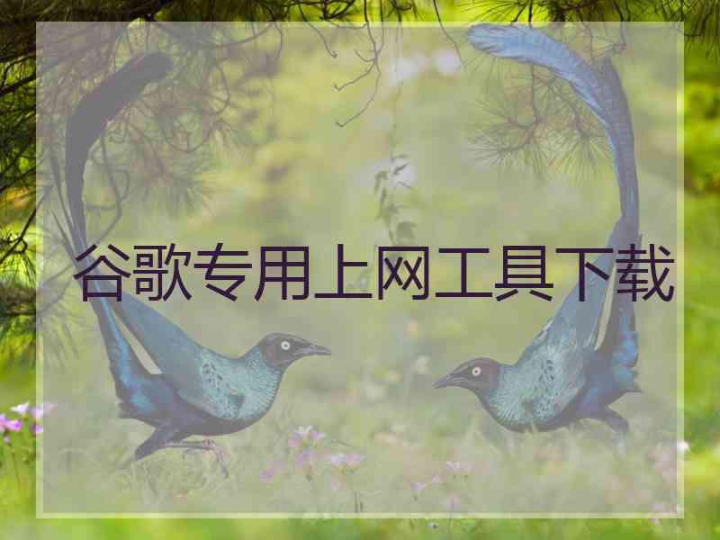 谷歌专用上网工具下载
