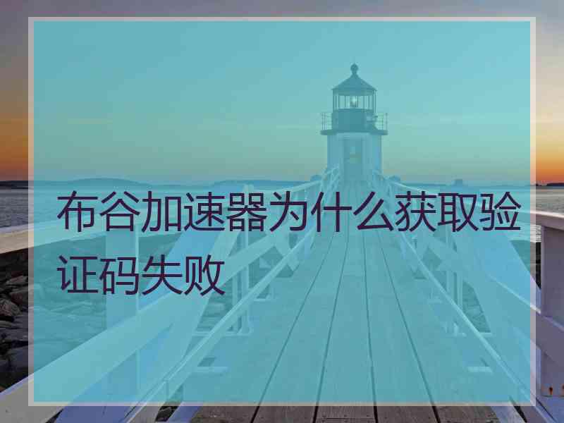 布谷加速器为什么获取验证码失败