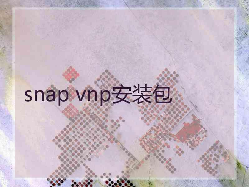 snap vnp安装包