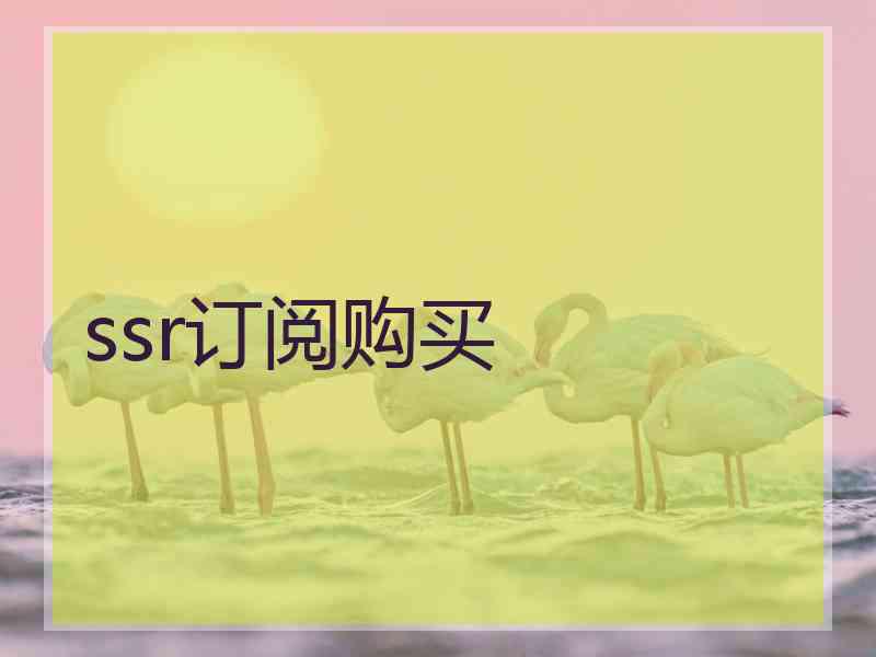 ssr订阅购买