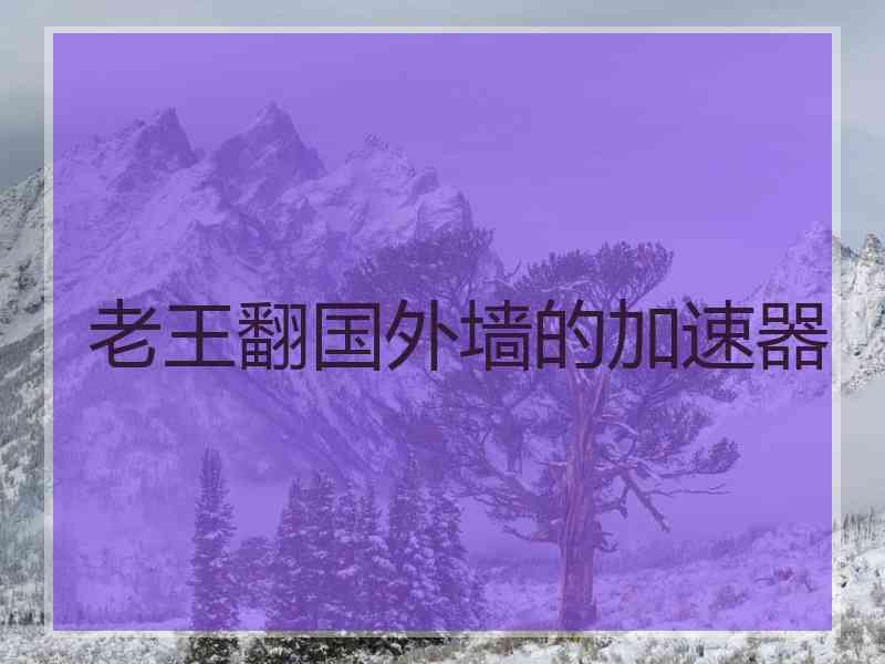 老王翻国外墙的加速器