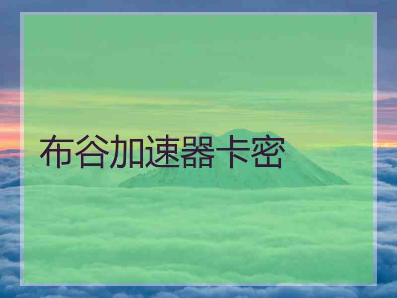 布谷加速器卡密