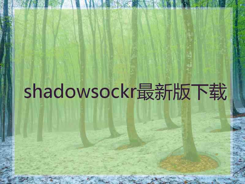 shadowsockr最新版下载