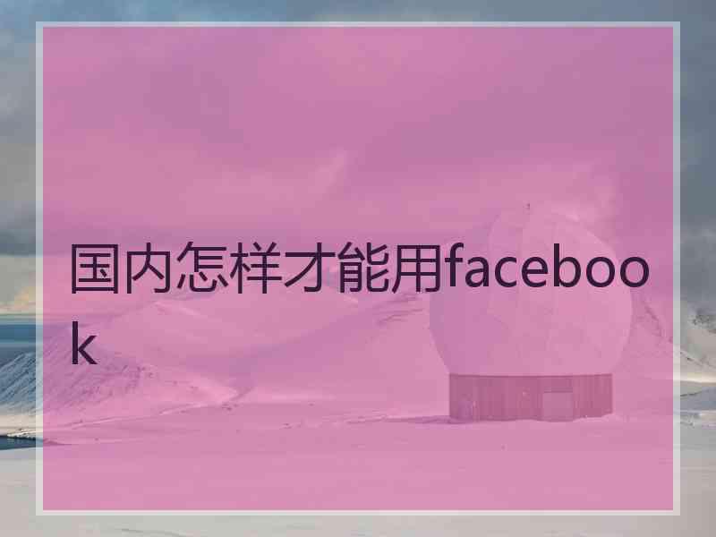 国内怎样才能用facebook