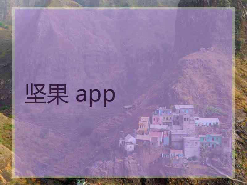 坚果 app