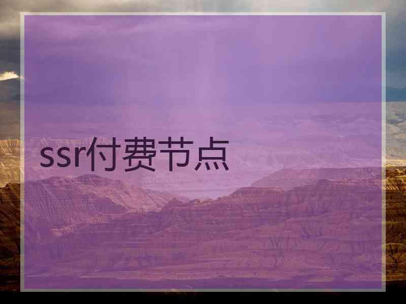 ssr付费节点