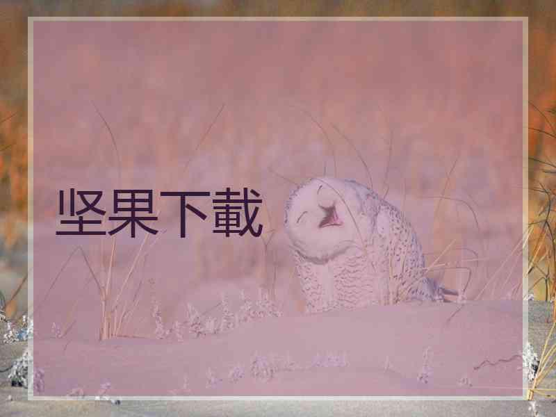 坚果下載