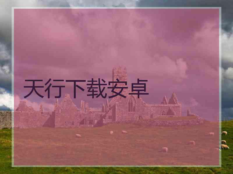 天行下载安卓