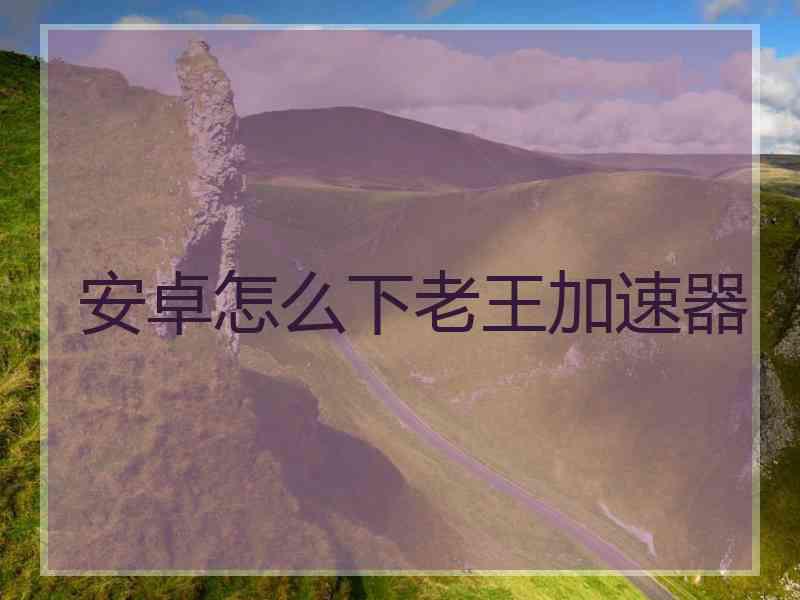安卓怎么下老王加速器