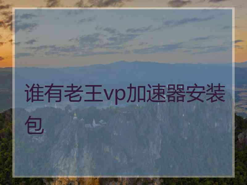 谁有老王vp加速器安装包