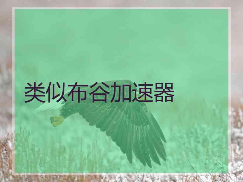 类似布谷加速器