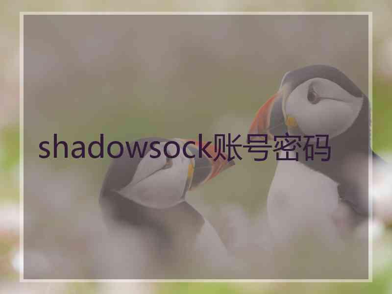 shadowsock账号密码