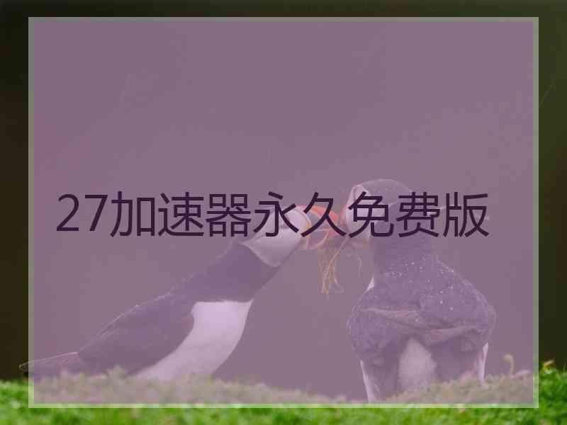 27加速器永久免费版