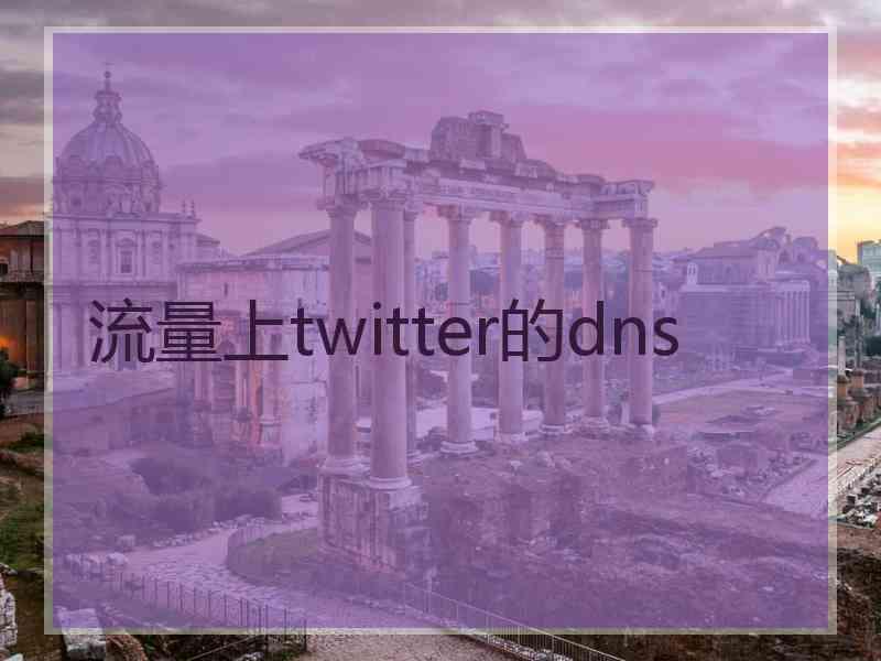 流量上twitter的dns