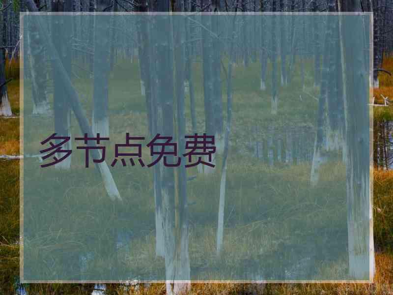多节点免费