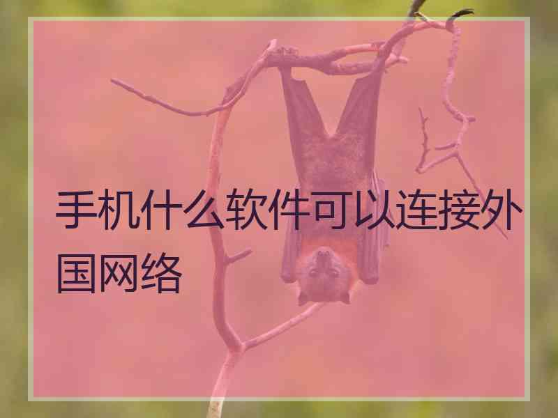 手机什么软件可以连接外国网络