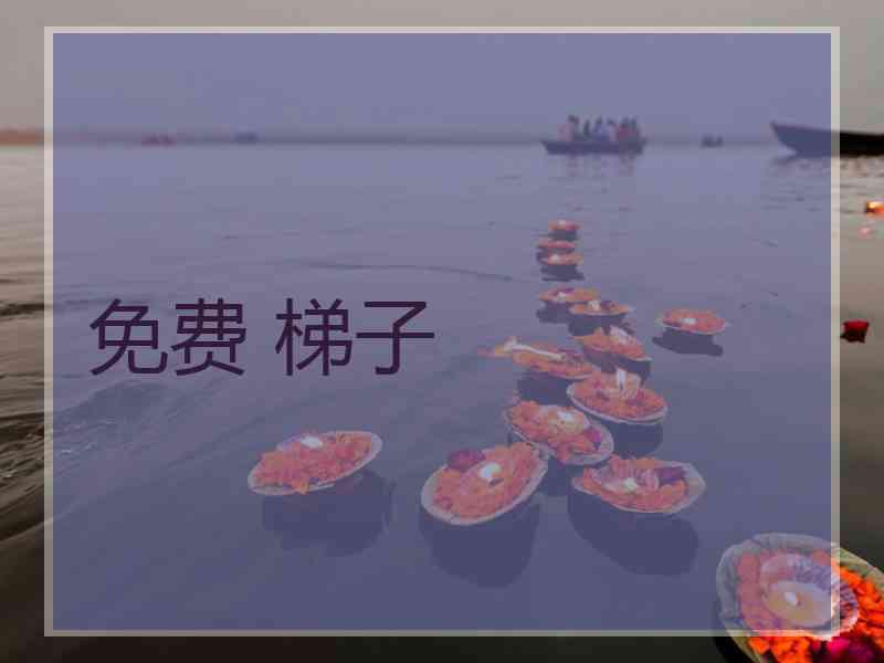 免费 梯子