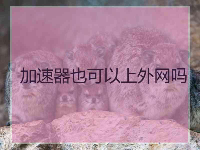 加速器也可以上外网吗