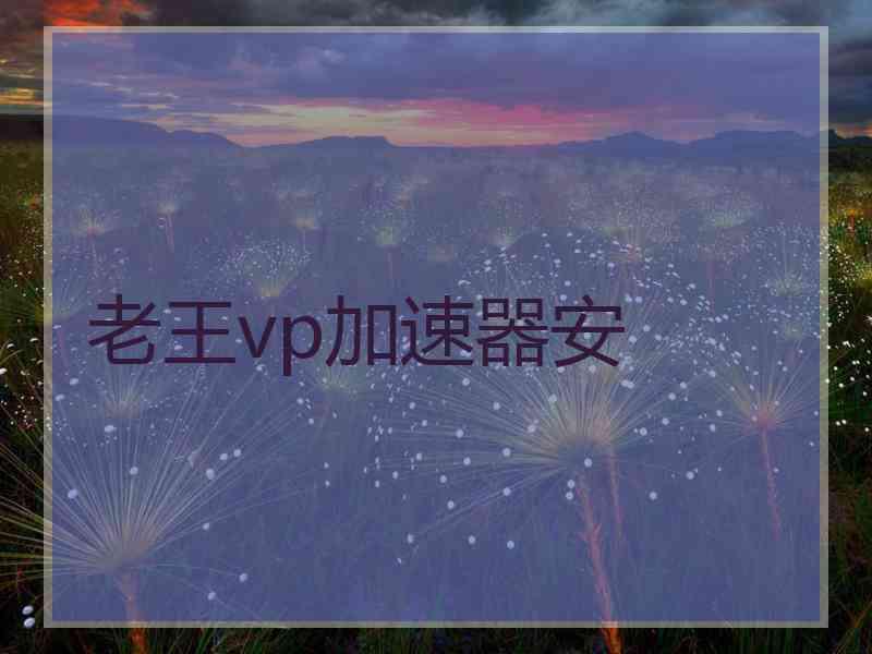 老王vp加速器安