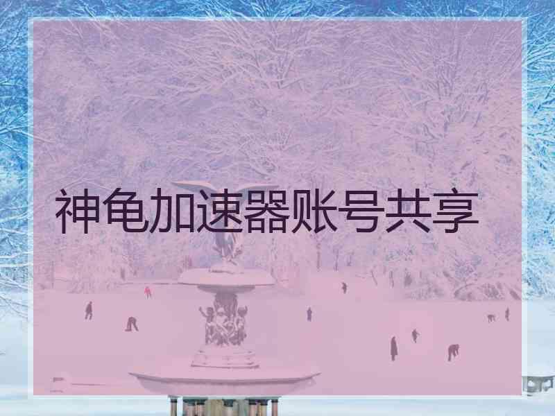 神龟加速器账号共享