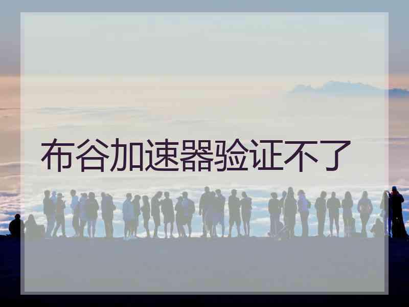布谷加速器验证不了