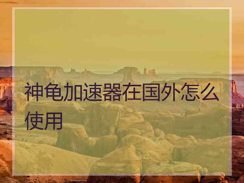 神龟加速器在国外怎么使用