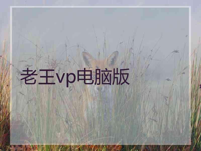 老王vp电脑版