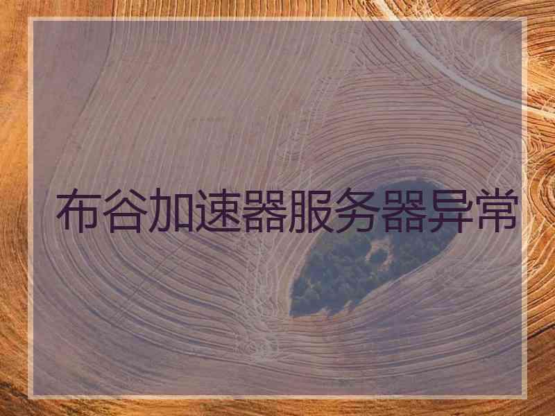 布谷加速器服务器异常
