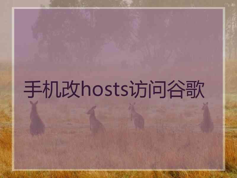手机改hosts访问谷歌