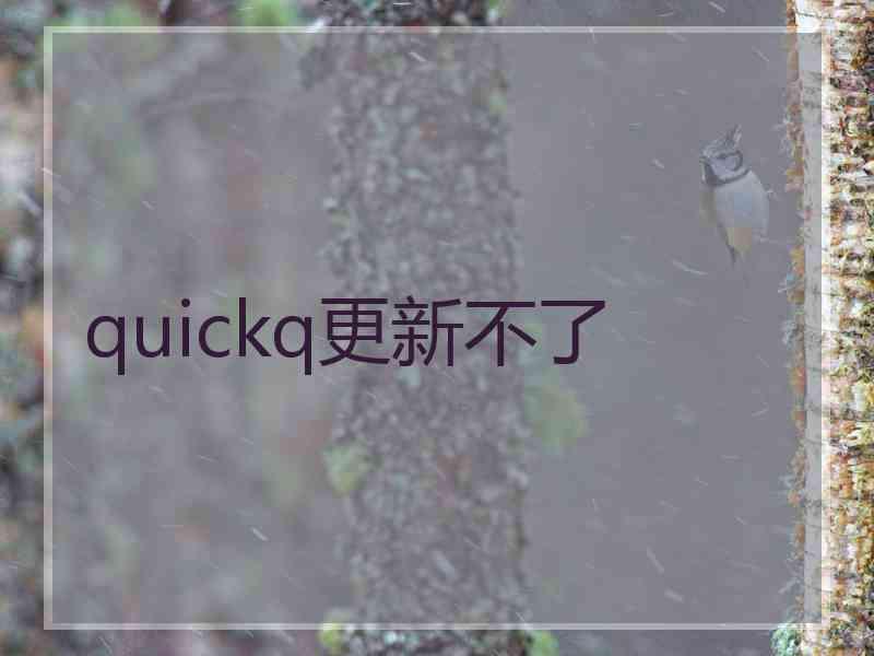 quickq更新不了