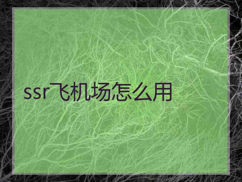 ssr飞机场怎么用