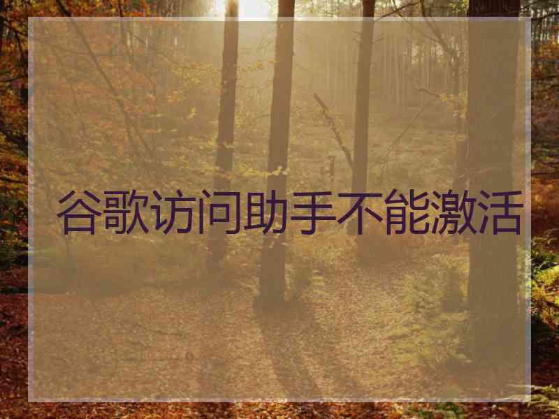 谷歌访问助手不能激活