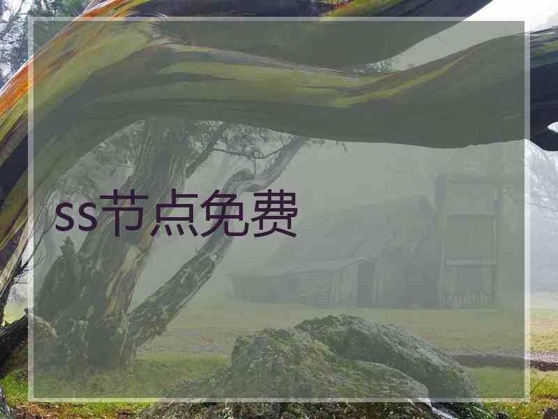 ss节点免费
