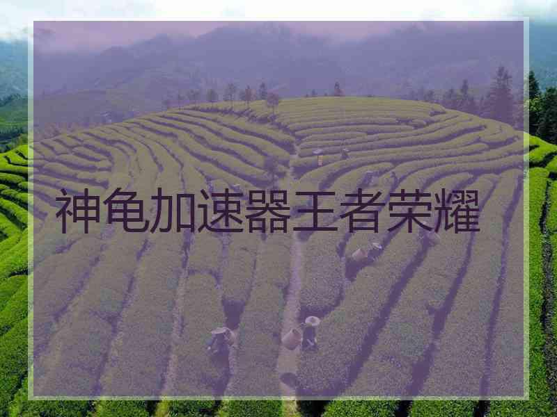 神龟加速器王者荣耀