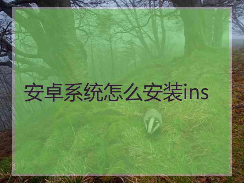 安卓系统怎么安装ins