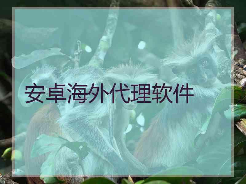 安卓海外代理软件