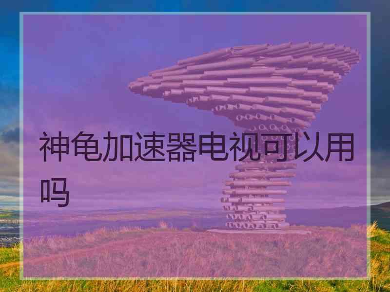 神龟加速器电视可以用吗