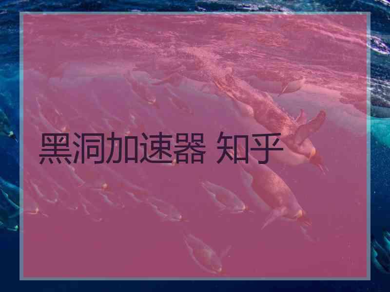 黑洞加速器 知乎