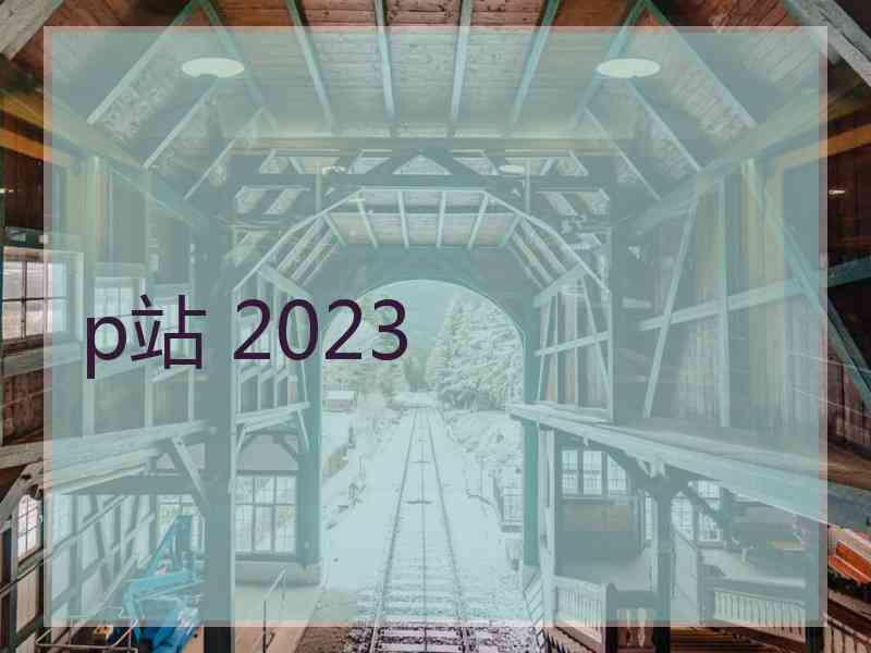 p站 2023