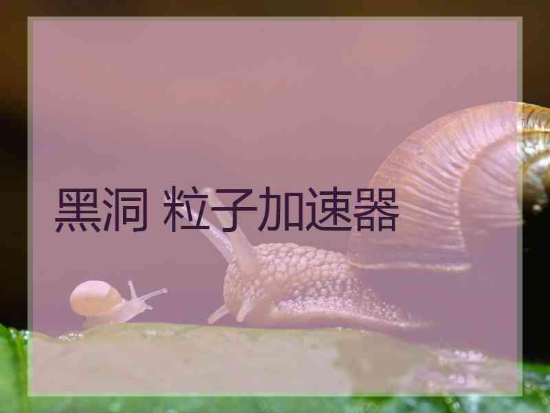 黑洞 粒子加速器