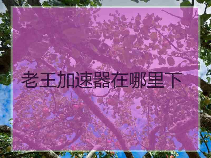 老王加速器在哪里下