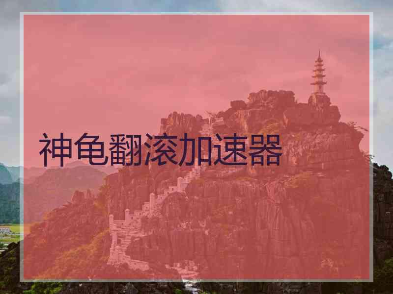 神龟翻滚加速器
