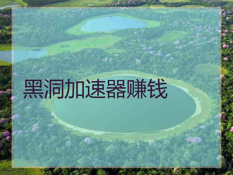 黑洞加速器赚钱