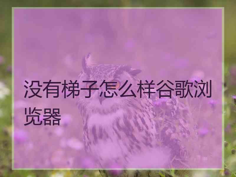 没有梯子怎么样谷歌浏览器